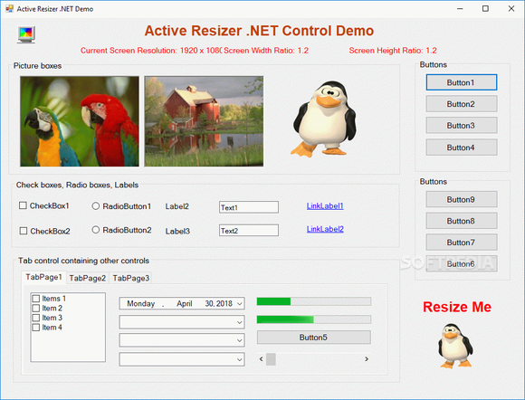 Active Resizer .NET Control Crack With Serial Number Latest