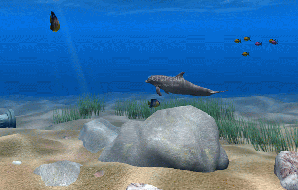 Dolphin Aqua Life 3D Screensaver Crack + Keygen