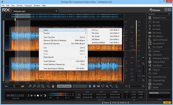 iZotope RX Advanced Audio Editor Crack & Serial Key