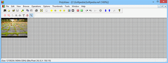PolyView NEF Support Library Crack Plus Serial Key
