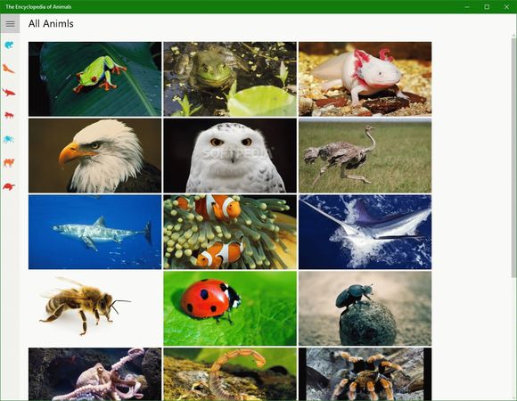 The Encyclopedia of Animals Crack + Serial Key Download